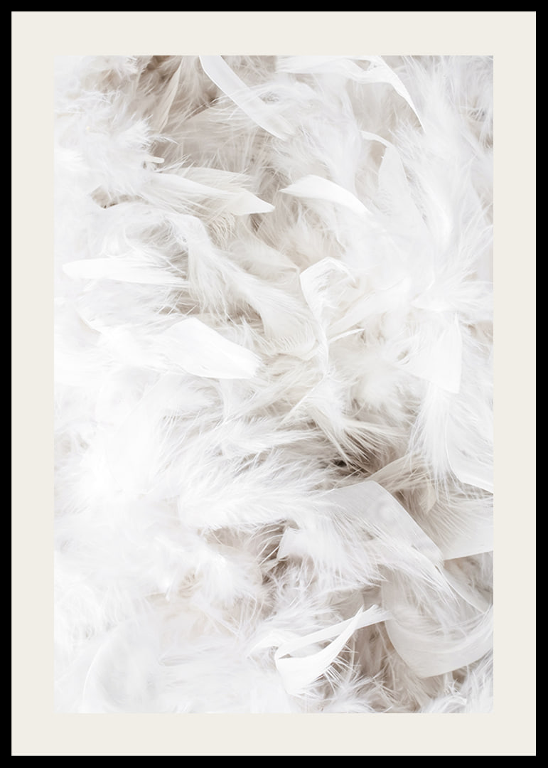 Close-up of soft white feathers in light and airy composition-12