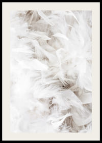 Lähikuva pehmeistä valkoisista höyhenistä kevyessä ja ilmavassa sommitelmassa-2