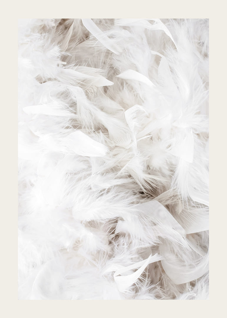Lähikuva pehmeistä valkoisista höyhenistä kevyessä ja ilmavassa sommitelmassa-12
