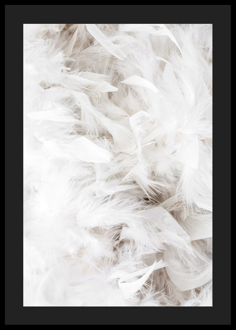 Lähikuva pehmeistä valkoisista höyhenistä kevyessä ja ilmavassa sommitelmassa-12