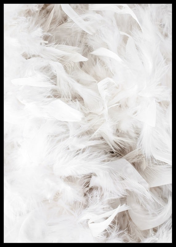 Close-up of soft white feathers in light and airy composition-12
