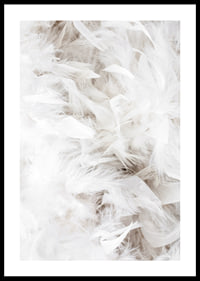 Close-up of soft white feathers in light and airy composition-0