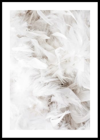 Poster White Feathers
