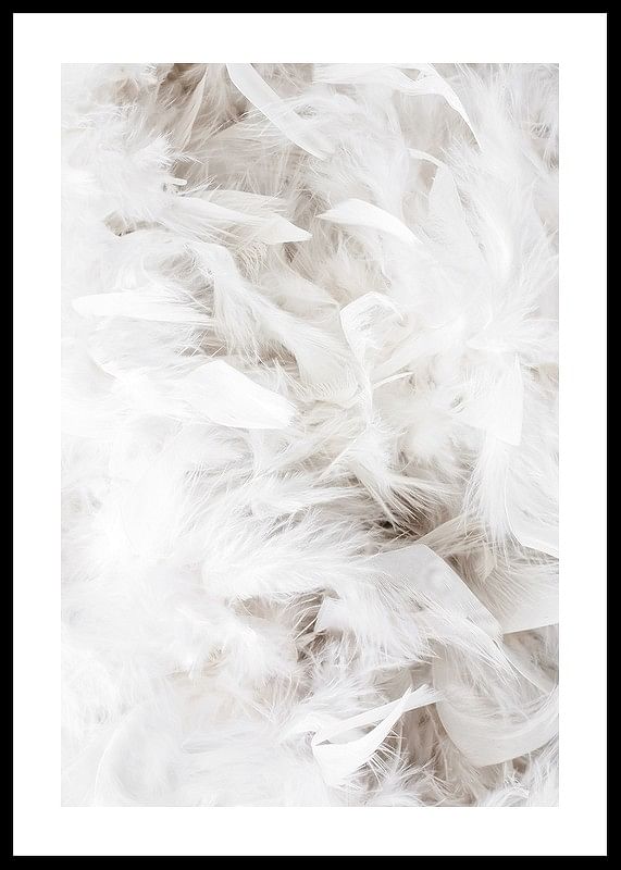 White Feathers-12