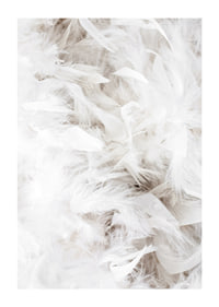 Close-up of soft white feathers in light and airy composition-1