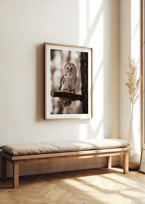 Owl-12