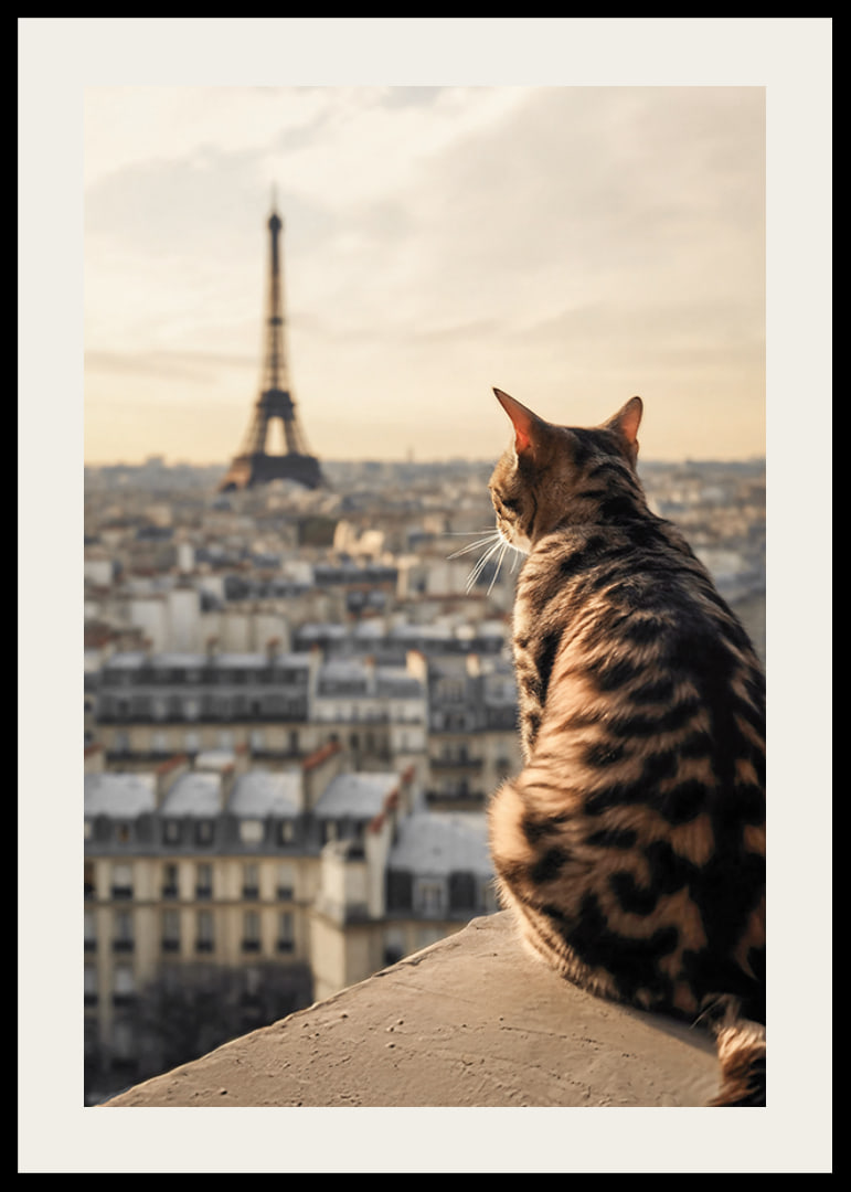 Fotografische Katze mit gemustertem Fell blickt im warmen Abendlicht auf Paris und den Eiffelturm-12