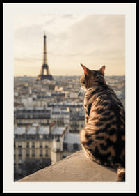 Photographic cat with patterned fur looks out over Paris and the Eiffel Tower in warm evening light-2