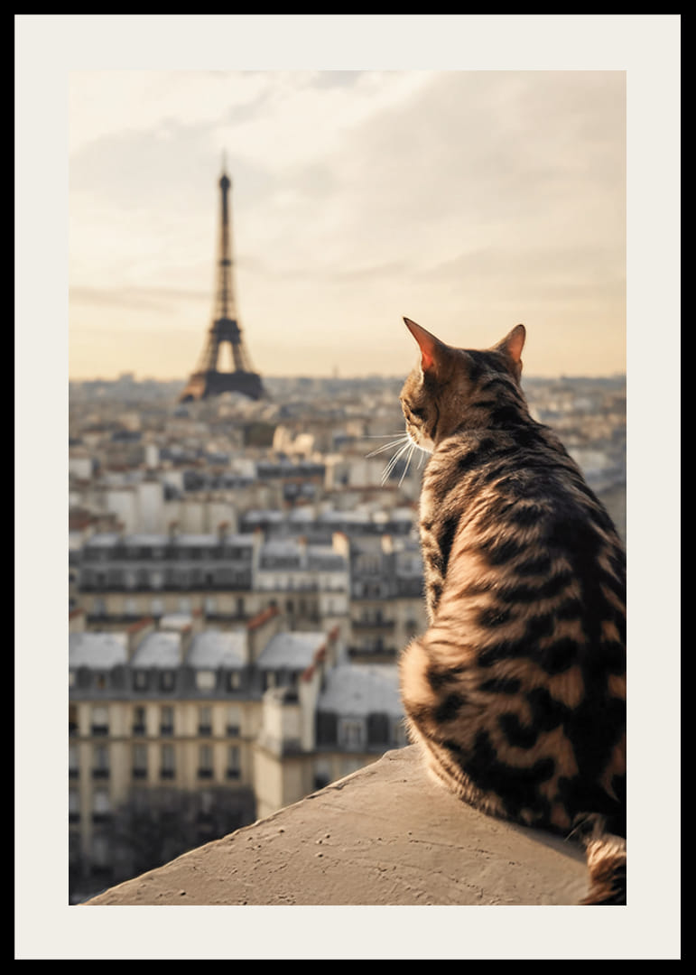 Photographic cat with patterned fur looks out over Paris and the Eiffel Tower in warm evening light-12