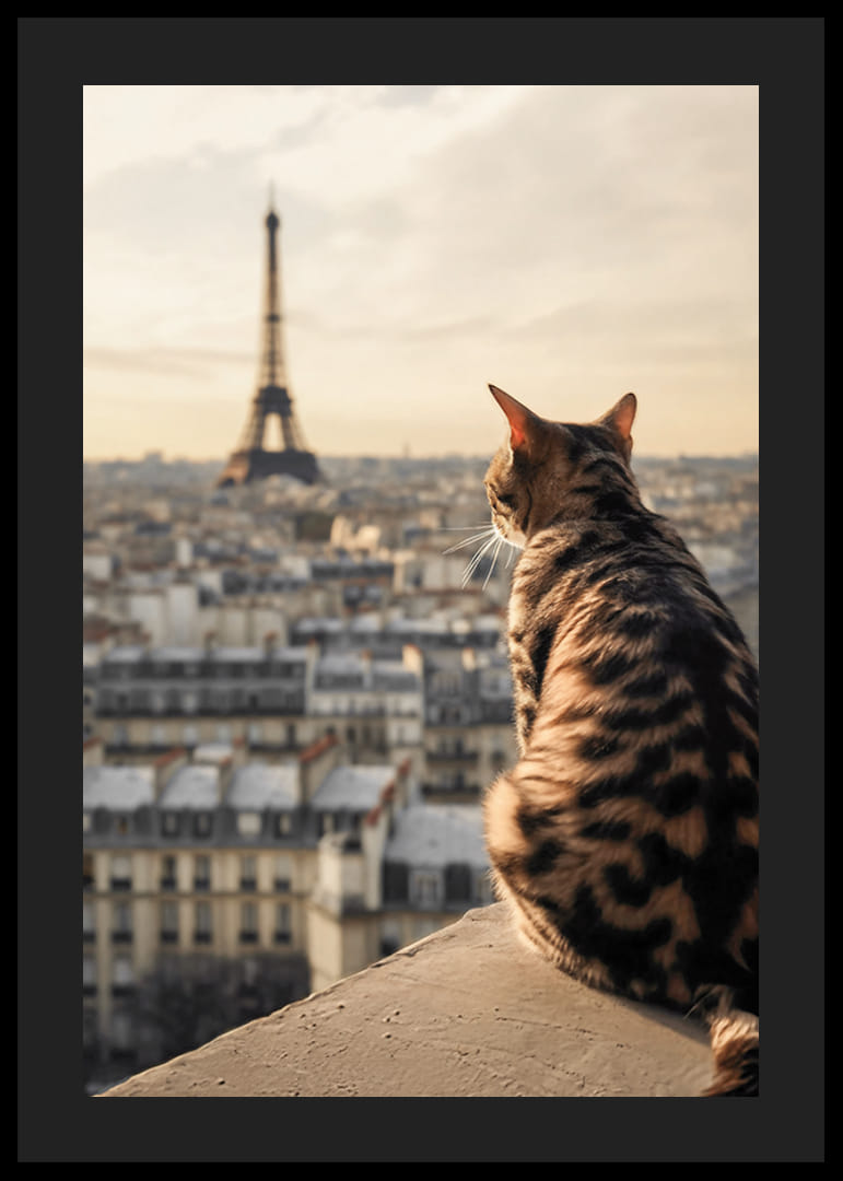 Photographic cat with patterned fur looks out over Paris and the Eiffel Tower in warm evening light-12