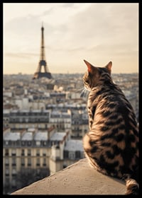 Fotografische Katze mit gemustertem Fell blickt im warmen Abendlicht auf Paris und den Eiffelturm-6
