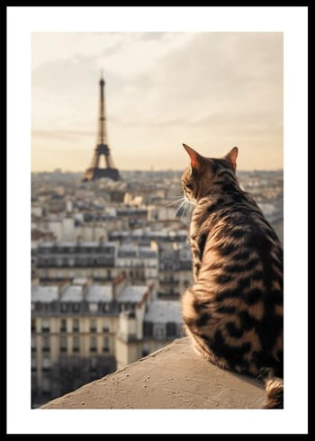 Poster Cat In Paris