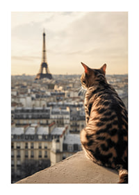 Fotografische Katze mit gemustertem Fell blickt im warmen Abendlicht auf Paris und den Eiffelturm-1
