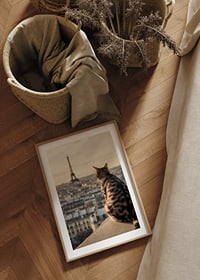Fotografische Katze mit gemustertem Fell blickt im warmen Abendlicht auf Paris und den Eiffelturm-8