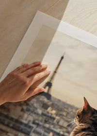 Fotografische Katze mit gemustertem Fell blickt im warmen Abendlicht auf Paris und den Eiffelturm-9