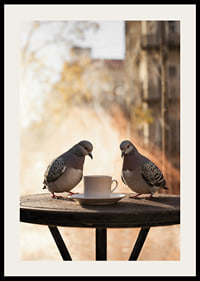 Photograph of two pigeons by coffee cup on cafe table outdoors-2