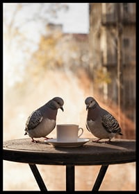 Photograph of two pigeons by coffee cup on cafe table outdoors-6