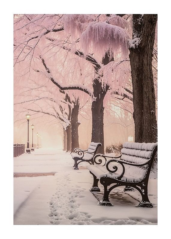 Winter In Pink-12