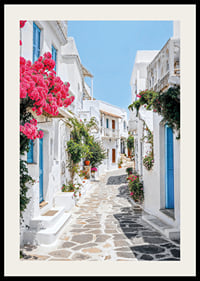 Photographie d'une ruelle blanchie à la chaux avec des portes bleues et des fleurs roses-2