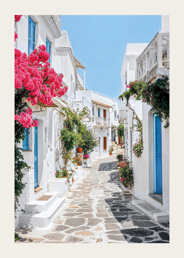 Photographie d'une ruelle blanchie à la chaux avec des portes bleues et des fleurs roses-12