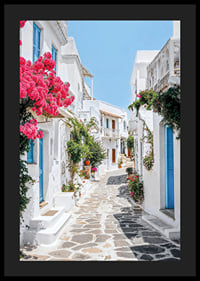 Photographie d'une ruelle blanchie à la chaux avec des portes bleues et des fleurs roses-4