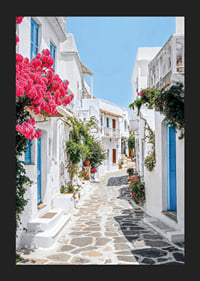 Photographie d'une ruelle blanchie à la chaux avec des portes bleues et des fleurs roses-5