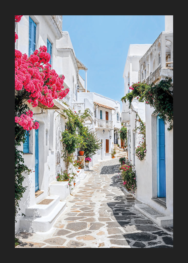 Photographie d'une ruelle blanchie à la chaux avec des portes bleues et des fleurs roses-12