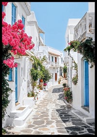 Photographie d'une ruelle blanchie à la chaux avec des portes bleues et des fleurs roses-6