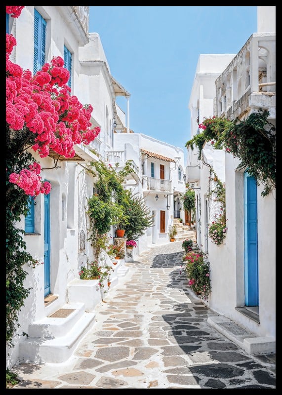 Photographie d'une ruelle blanchie à la chaux avec des portes bleues et des fleurs roses-12