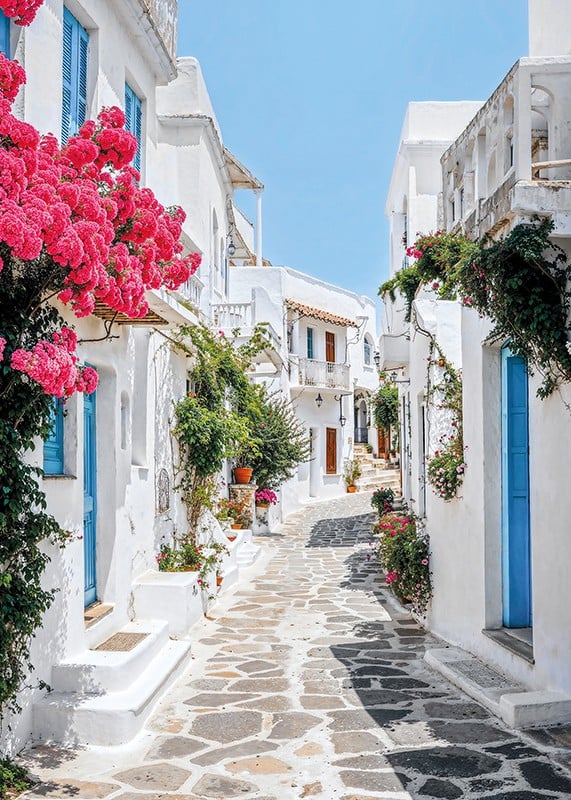 Photographie d'une ruelle blanchie à la chaux avec des portes bleues et des fleurs roses-12