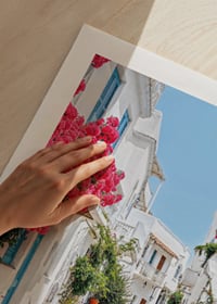 Photographie d'une ruelle blanchie à la chaux avec des portes bleues et des fleurs roses-9