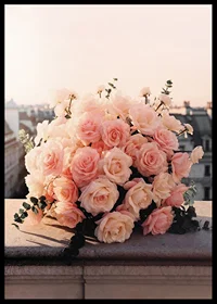 Close-up of bouquet of light pink roses against city skyline-6