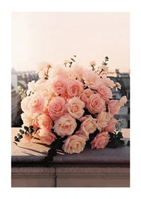 Close-up of bouquet of light pink roses against city skyline-1