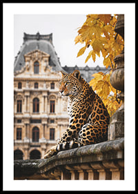 Fotografický jaguár na kamennom zábradlí pred historickou budovou-0