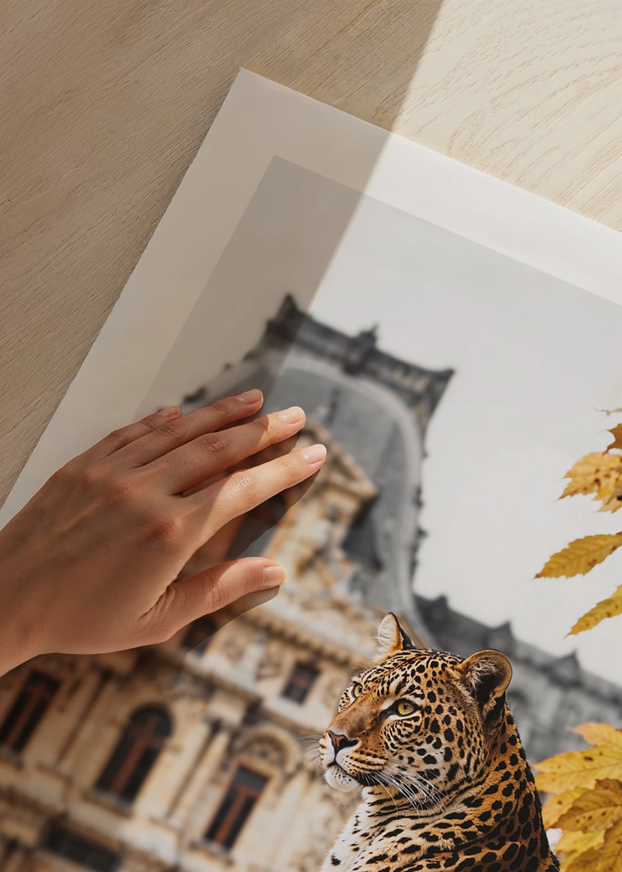 Fotografický jaguár na kamennom zábradlí pred historickou budovou-12