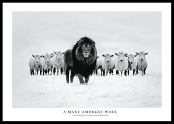 Poster A Mane Amongst Wool