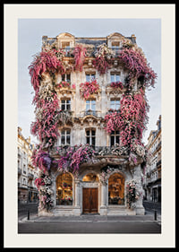 Photograph of classic facade covered in pink and white flowers-2