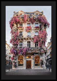 Photograph of classic facade covered in pink and white flowers-4