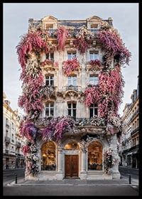 Photograph of classic facade covered in pink and white flowers-6
