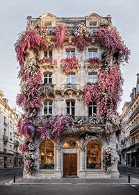 Photograph of classic facade covered in pink and white flowers-7