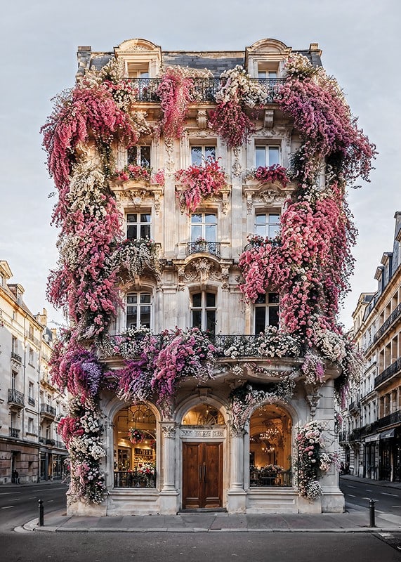 Photograph of classic facade covered in pink and white flowers-12