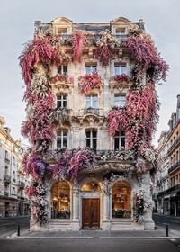 Facade In Bloom-3