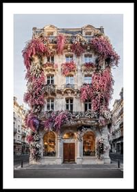 Facade In Bloom-0