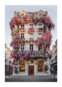 Photograph of classic facade covered in pink and white flowers-1