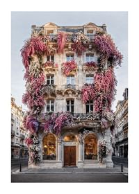 Facade In Bloom-1