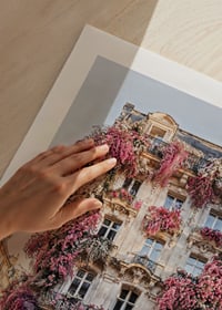 Photograph of classic facade covered in pink and white flowers-9