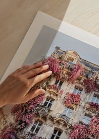 Facade In Bloom-5