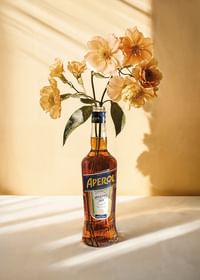 Aperol Apertivo-3