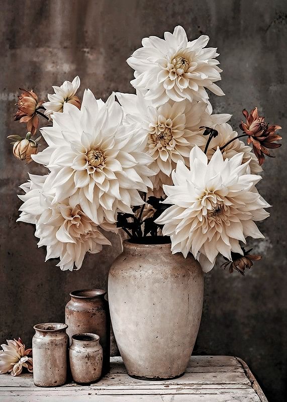 Dahlia Flower Pot-12