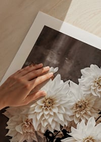 Fotografi av vita dahlior i rustik kruka, dova toner-9